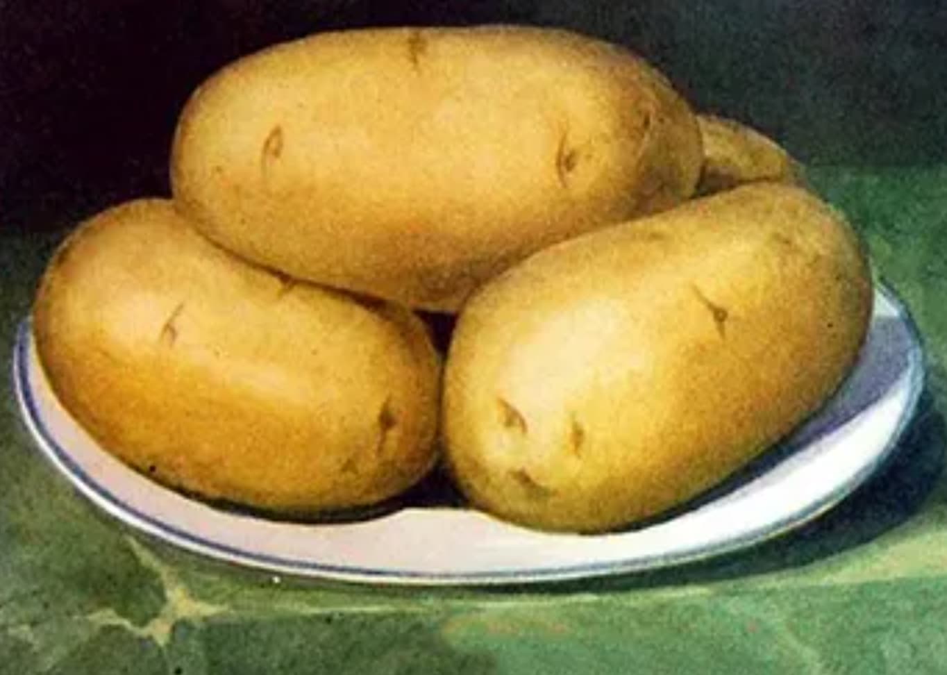 russet burbank potato